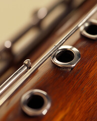 Naklejka premium Bassoon