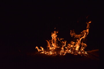 fire burning wood
