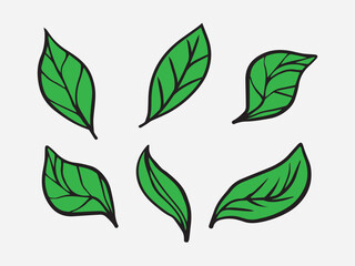 Green leaf set vector illustration
