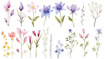 Set of watercolor wildflowers painting isolated on clear png background and transparent background. Fresh and nature concept for nature decorative and flower element, AI generative.	
