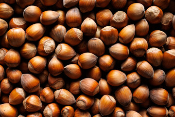 Hazelnuts in shell macro, top view. Hazelnuts background