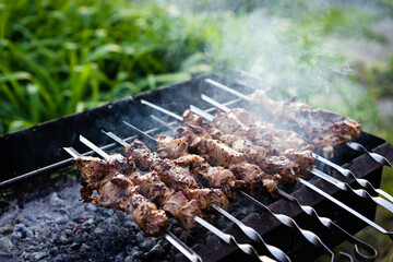 Pork pieces on coals. Pieces of grilled meat on skewers are cooked on hot coals.A barbecue party in nature. Baked pork meat cooked on the grill. Close-up, top view.