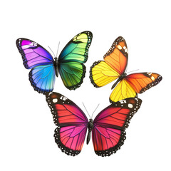 Fototapeta premium Three stunning butterflies in vivid colors rest gracefully, showcasing their intricate patterns and brilliance, beautiful rainbow colored butterflys on transparent background