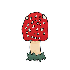 Single isolated amanita toadstool mushroom. Vector fly agaric with grass illustration on a white background