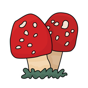 recommend clip art: Red amanita toadstool mushrooms pair. Vector isolated doodle hand drawn fly agaric illustration on a white background