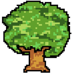 Fototapeta premium Tree 