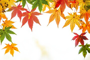 Autumn Maple Leaves Flat Lay White Background created with Generative AI