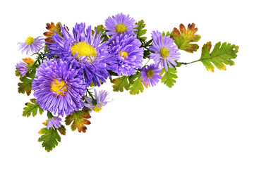 Purple flowers (aster and chrysanthemum) with seasonal leaves in a corner autumn arrangement...