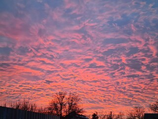 Serene Sunset Sky with Cirrus Clouds: A Perfect Background or Wallpaper
