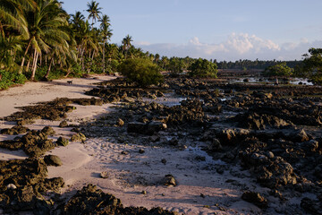 Rock and corals at low tide tropical beach