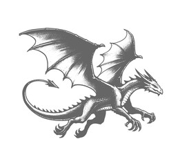 wyvern dragon hand drawn sketch vector