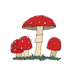 Vector illustration featuring four stylized cartoon outline fly agaric mushrooms, Amanita muscaria. Red caps with white spots on the white background