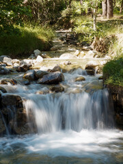 waterfall in the forest