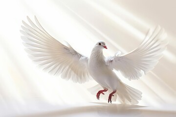 Fototapeta premium A dove with light rays clipart, divine symbol, photorealistic, luminous, isolated on white background
