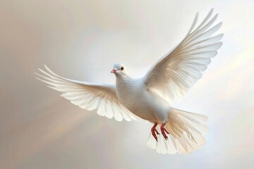 A dove with light rays clipart, divine symbol, photorealistic, luminous, isolated on white background