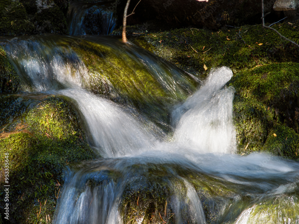 Wall mural waterfall in the forest