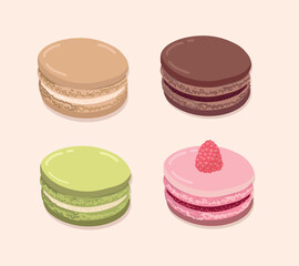 Set of French desserts. Macarons with different fillings, chocolate, vanilla, pistachio, raspberry.  French pastry. Simple design, vector illustration.