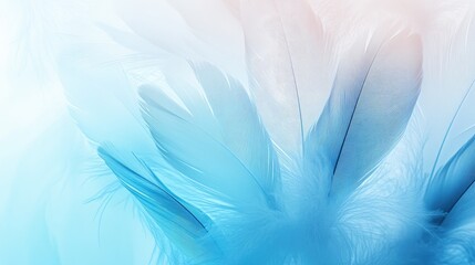 Soft texture of feathers in gradient colors from white to blue, providing a delicate and light background.