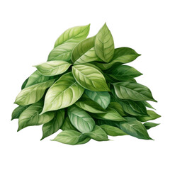 Watercolor Pile of Leaves Isolated on a Transparent Background