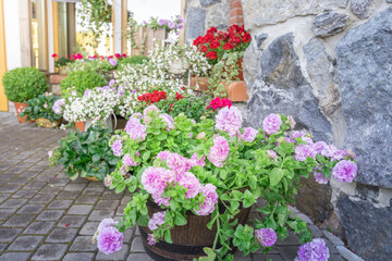 A colorful garden with a variety of flowers, including pink and white ones