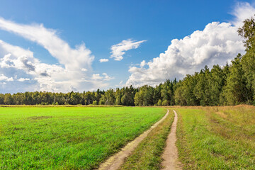 A road runs through a lush green field with trees in the background