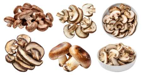Shiitake shittake mushroom fungus fungi vegetable, many angles and view side top front bowl slice isolated on transparent cutout, PNG file. Mockup template for artwork design