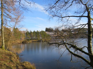 lake in the forest