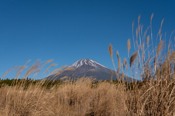 冠雪の始まった富士山