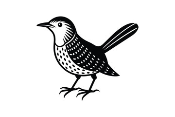 Black and white woodcut illustration of a thrasher bird with speckled feathers and striped tail
