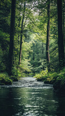 Fototapeta premium Serene River Winding Through a Lush Forest, Sunbeams Filtering Through the Canopy, Creating a Mystical Atmosphere.