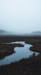 Fototapeta premium A Serene Marshland Enveloped in Mist, Where Water Reflects the Tranquil Sky