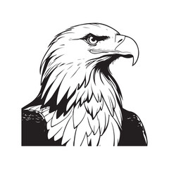 Eagle line art vector silhouette with white Background