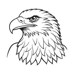 Eagle line art vector silhouette with white Background