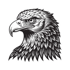 Eagle line art vector silhouette with white Background