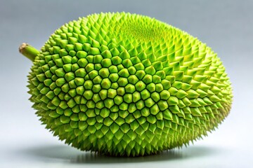 Ripe hairy jackfruit with vibrant green skin and spiky exterior, displaying its unique texture and size, isolated on a neutral background with soft focus.