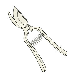 metallic shears for cutting flowers