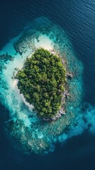 Coral Island Oasis, breathtaking aerial perspective showcasing a vibrant coral island surrounded by crystal-clear turquoise waters, highlighting nature's tropical beauty.