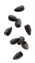 Falling sunflower seed, isolated on white background, full depth of field