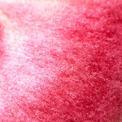 Obraz premium apple with red pulp close up