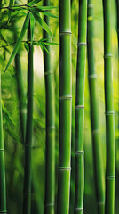 Serene Tranquility: A Close-Up View of Lush Bamboo Stalks