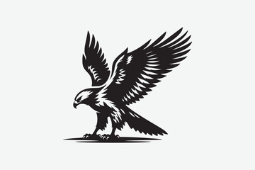 Eagle Bird vector art and illustration