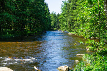 Hiking along Ilz River in the Bavarian Forest 2024