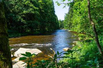 Hiking along Ilz River in the Bavarian Forest 2024