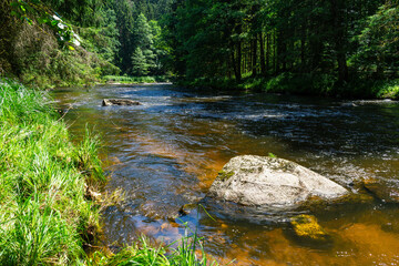 Hiking along Ilz River in the Bavarian Forest 2024
