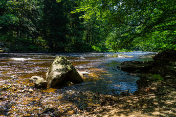 Hiking along Ilz River in the Bavarian Forest 2024