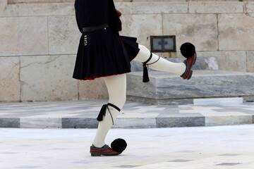 Guards march at the entrance to the royal palace.