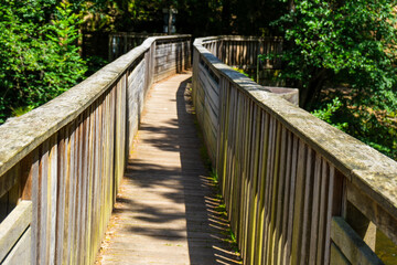 Hiking along Ilz River in the Bavarian Forest 2024