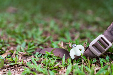 closeup white anchor land or steel pegs to hold camping tent steady on nature garden and green grass lawn to forest trekking on holiday relax and vacation travel at outdoor campground with copy space