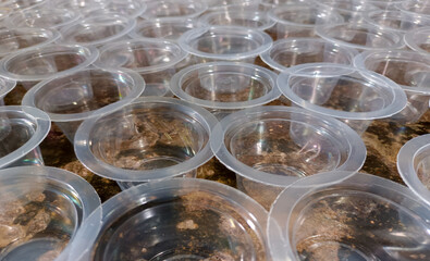 Close Up View Of Plastic Cups For Serving Pudding And Other Foods