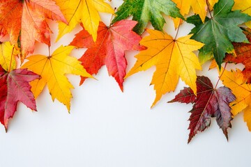 Fototapeta premium Autumn Maple Leaves Flat Lay White Background created with Generative AI